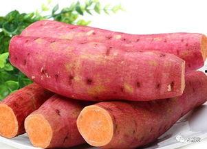 马薯君资料,揭秘网络红人的崛起之路